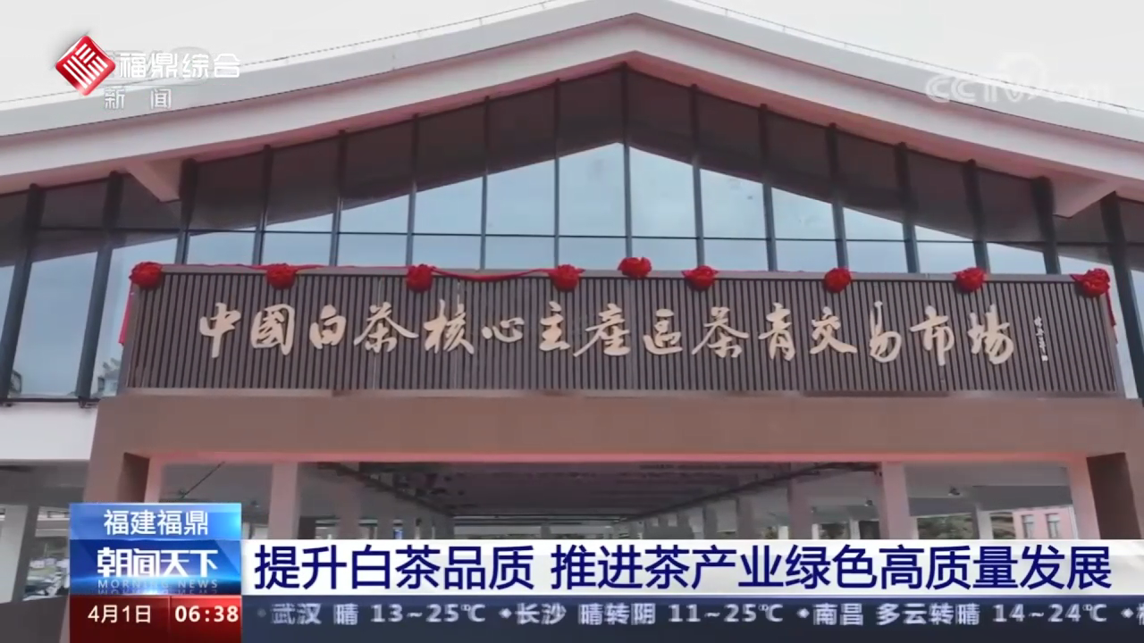 福建百家乐平台：提升白茶品质 推进茶产业绿色高质量发展